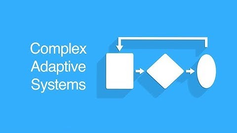 Simple Rules - Complex Behavior