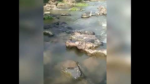 Những cảnh đẹp ở khu du lịch Thác Giang Điền