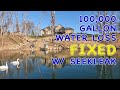 Pond leak success story  what losing 100000 gallons of water per day looked like