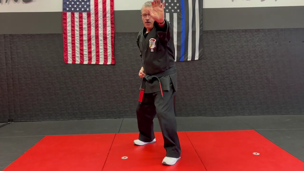 Dragon Self Defense Techniques for Blue, Green & Brown 3rd