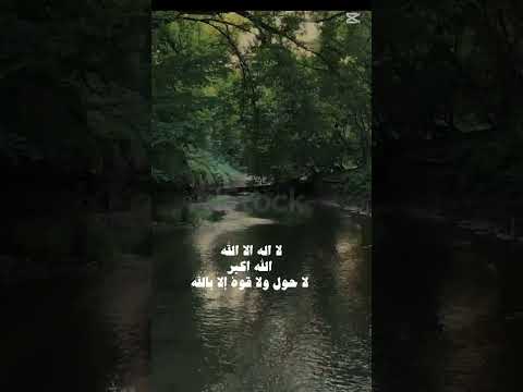 اليك مقولة لو قلتها كفرت عنك خطاياك ولو كانت مثل زبد البحر اقتباس نصيحة شورت