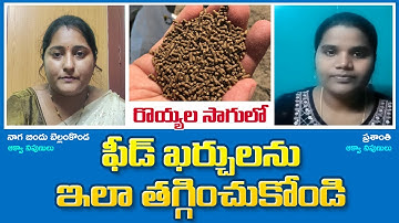 How to reduce shrimp feed cost in shrimp farming | aquaculture