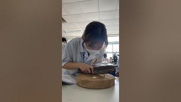 Học TH Đông dược Vutm #happy #tutorial #practice #funny