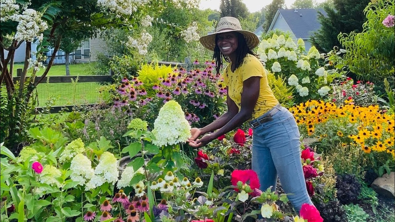 How to Prune Limelight Hydrangeas ✂️🌱 Timelapse🌱