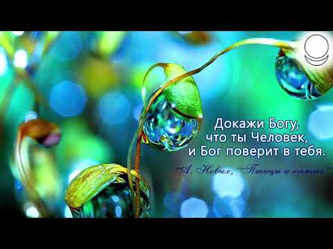 Птицы и камень аудиокнига скачать