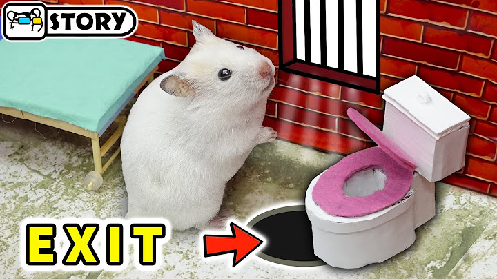🐹 Побег хомяка из тюрьмы 🐹 Лабиринт с ловушками 🐹 Хомура Хам Питомцы