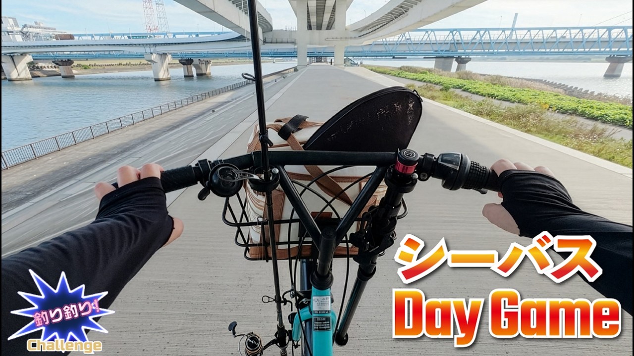 【釣り】シーバスDayゲーム