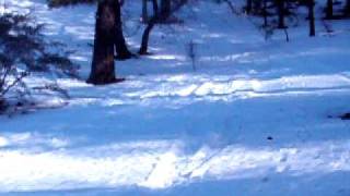 The winter snow play sledding Dual in wrightwood.AVI
