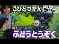 【こびとづかん】庭でぶどう狩り!!バンキッズハウス最後の動画!!