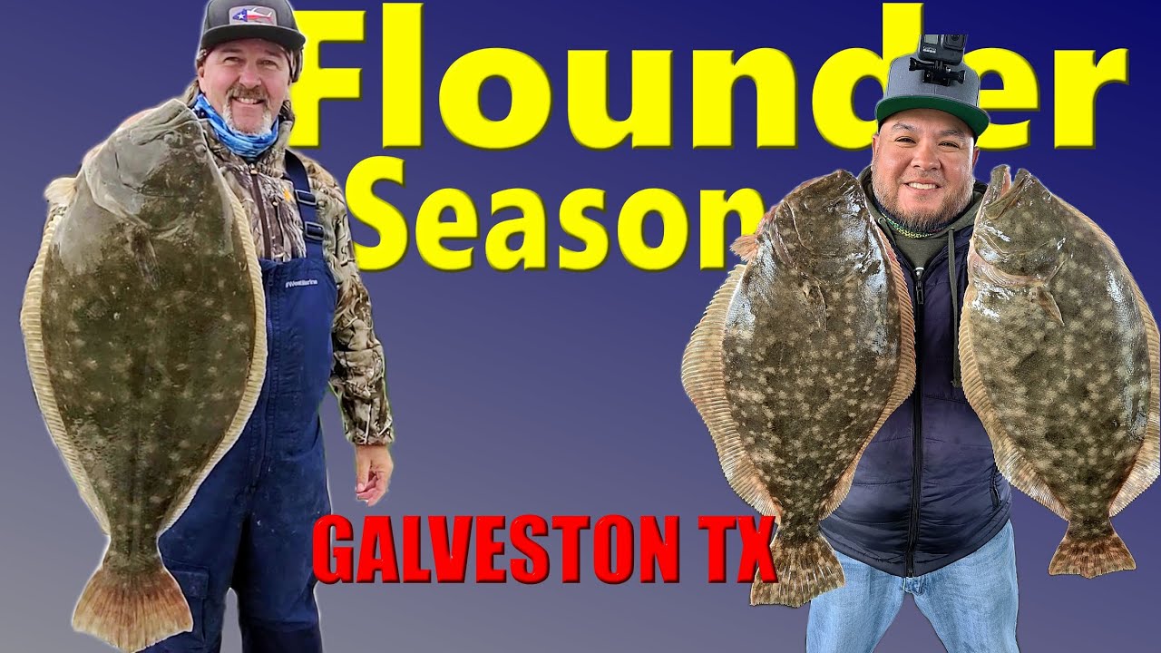 Flounder Fishing for 20 inch Flounder Galveston Texas YouTube