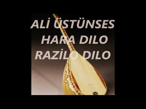Ali üstünses hêrê dılo rêzilo dılo