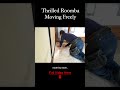 Thrilled Roomba: The Floor Becomes Accessible to Move Freely