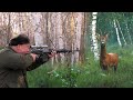 Hunting Siberian Roe deer 4 | Lov sibirskog srndaća | Caccia al capriolo siberiano