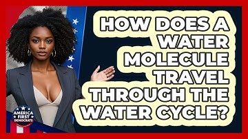 How Does A Water Molecule Travel Through The Water Cycle? - America First Democrats