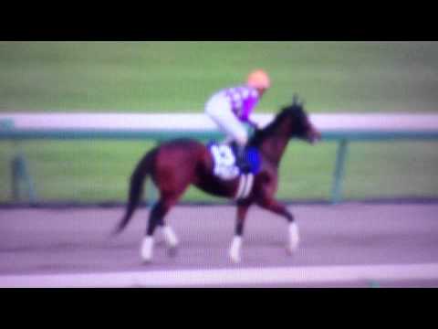 馬基地TV 第15回 チャンピオンズカップGⅠ【本馬場入場】