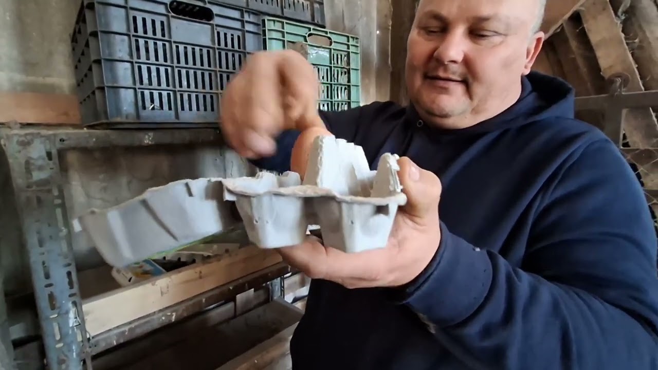 Tyúkoknál kezdtünk aztán búgattunk is.