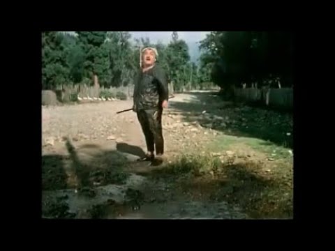 \"უდიპლომო სასიძო\" - \"გამოუშვი ერთი რა ვაჟკაცია......\" (udiplomo sasidzo)