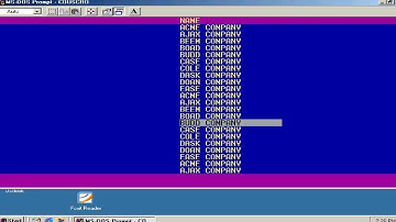 Old MS DOS Based Borland Turbo C for Scrolling Through a Binary Text File of Fixed Width Records