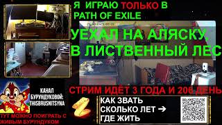 Живу. Постоянная живая трансляция 24/7 (команды для камер !cam1, !cam2, !cam3)