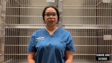 VTHT 1301 - AVMA Restraint Project