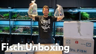 Das erste mal Skalare bei Liquid Nature! Fisch Unboxing by Liquid Nature 7,605 views 11 days ago 17 minutes