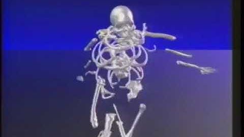 Osaka University Computer Graphics Research Group/Toyo Links/Bio-Meta Team (1984)