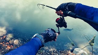 San Jose Bass 🎣 Metcalf Park