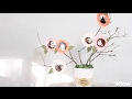 How To Make A 3D Family Tree How To Make A 3D Family Tree