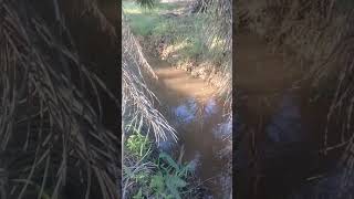 Melihat Prangkap Ikan