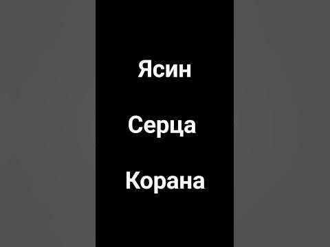 серца Корана - YouTube
