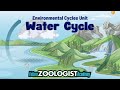 Understanding the Water Cycle