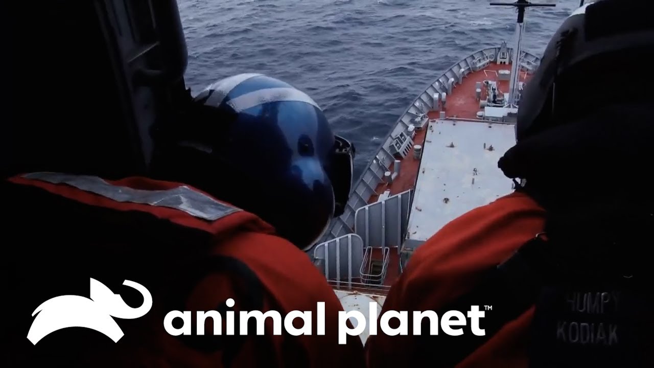 El asombroso rescate de la guardia costera en medio del océano