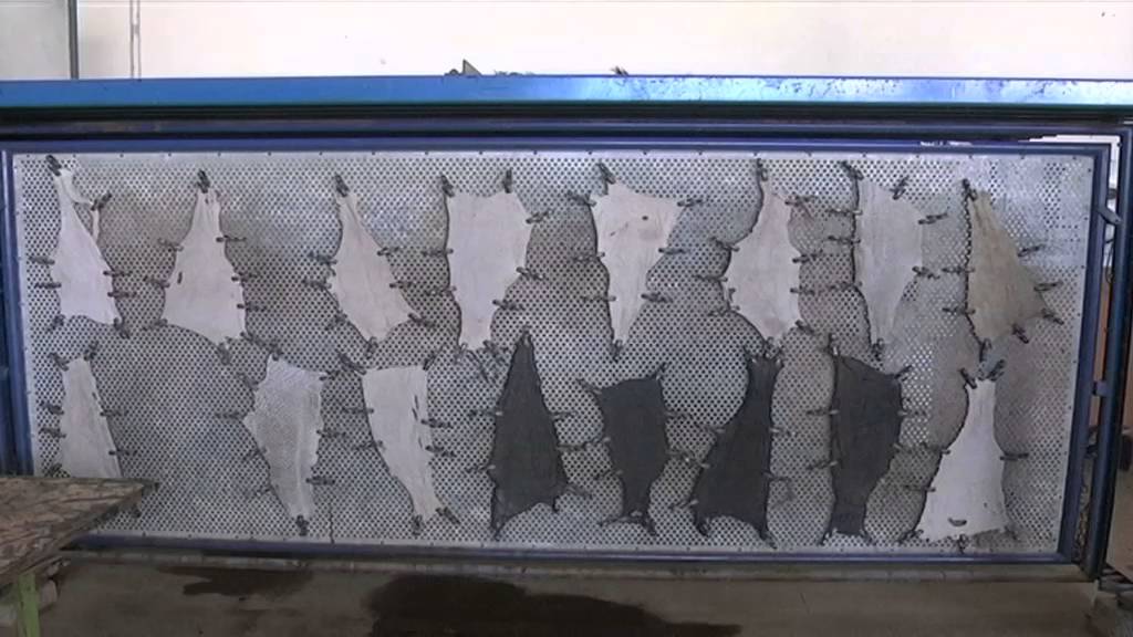 Кенийский предприниматель получает большую прибыль от продажи изделий из кожи рыб