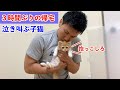 3時間ぶりの帰宅に泣き叫んで喜ぶ子猫(マンチカン)