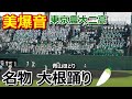 【高校野球応援】東京農大二高 大根踊り 青山ほとり【大根踊り】【名物応援】