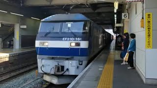 JR貨物EF210-164号機　東海道線上り貨物　豊橋通過