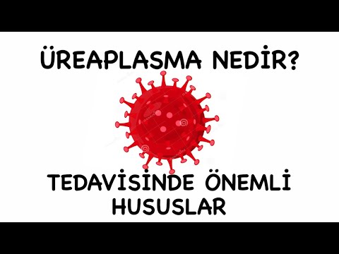 Ureaplasma Nedir? Üreaplazma üredi, Testi, Kuluçka Süresi Belirtileri Ve üreaplazma Tedavisi