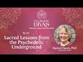 24. Sacred Lessons from the Psychedelic Underground