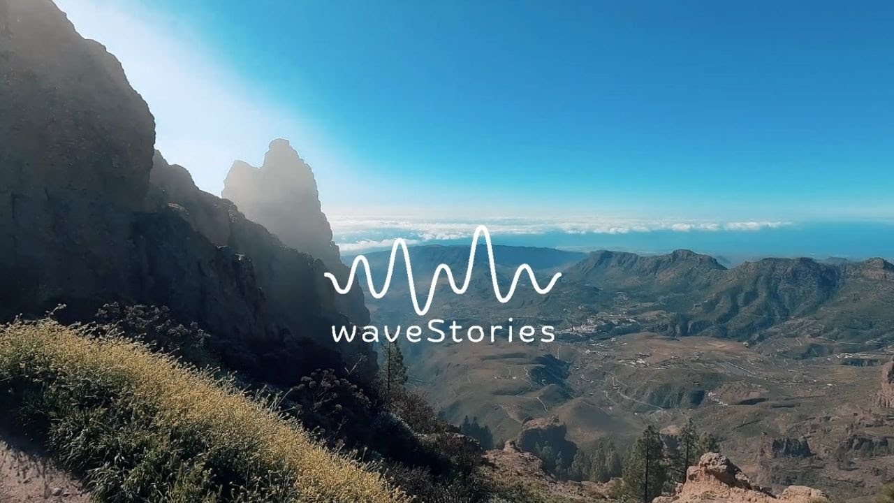 1 Hour of Strong Howling Wind Sounds for Sleeping | Stress Relief | EP 04 