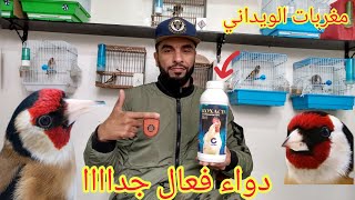 السلام عليكم الإخوان طريقة استخدام دواء ( ROXACIN ) لعلاج طائر الحسون قبل دخول مرحلة تغيير الريش .