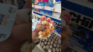 Finding every miniature animal at @Five Below but the miniature pigs 🐷 😭 #shopwithme #fivebelow