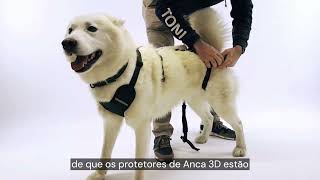 ✅ Arnês canino integral Ortocanis | cães idosos ou artríticos