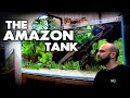 Building THE AMAZON Tank (part 3) PLANTING | MD Fish Tanks