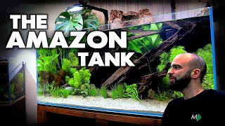 Building THE AMAZON Tank (part 3) PLANTING | MD Fish Tanks