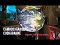 Что есть до "Я Есть" | Самосознающие Сознавание | Просветление | Сатсанг интенсив 10.10.20