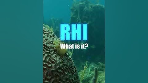 What is the Reef Health Index (RHI)?