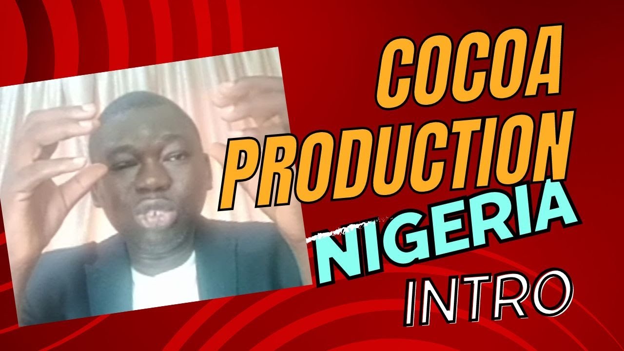 Introduction To Cocoa Production In Nigeria YouTube introduction-to-cocoa-production-in-nigeria-youtube
