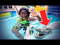 ALLIGATOR In Our Pool Prank on Eva