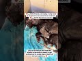 SHE DOESN’T ASK FOR MUCH… JUST A CHANCE TO LIVE #usa #canada #london #uk