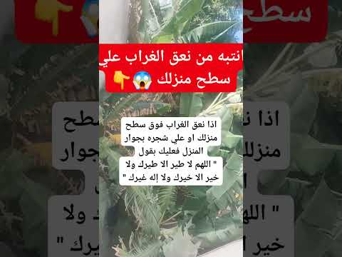 انتبه من نعق الغراب علي سطح منزلك